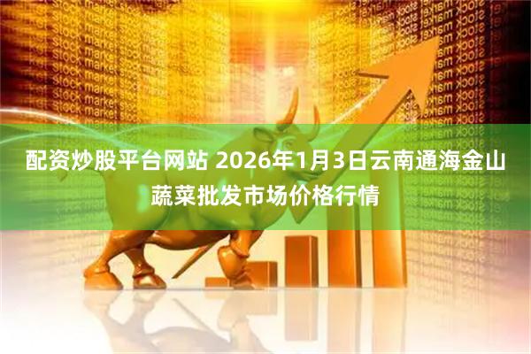 配资炒股平台网站 2026年1月3日云南通海金山蔬菜批发市场价格行情